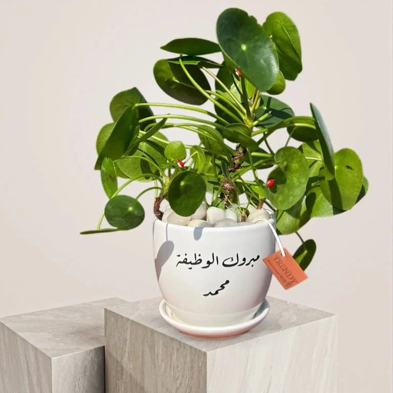 فازة ورد لتهنئة مولود جديد: أجمل الهدايا وأرق التهاني